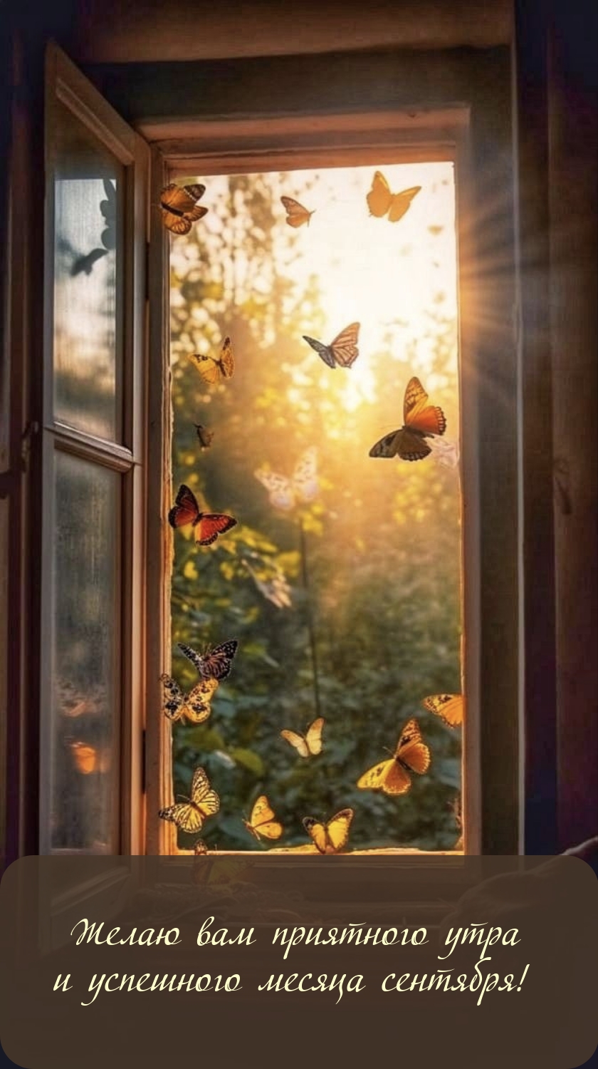 Желаю вам приятного утра и успешного месяца сентября!