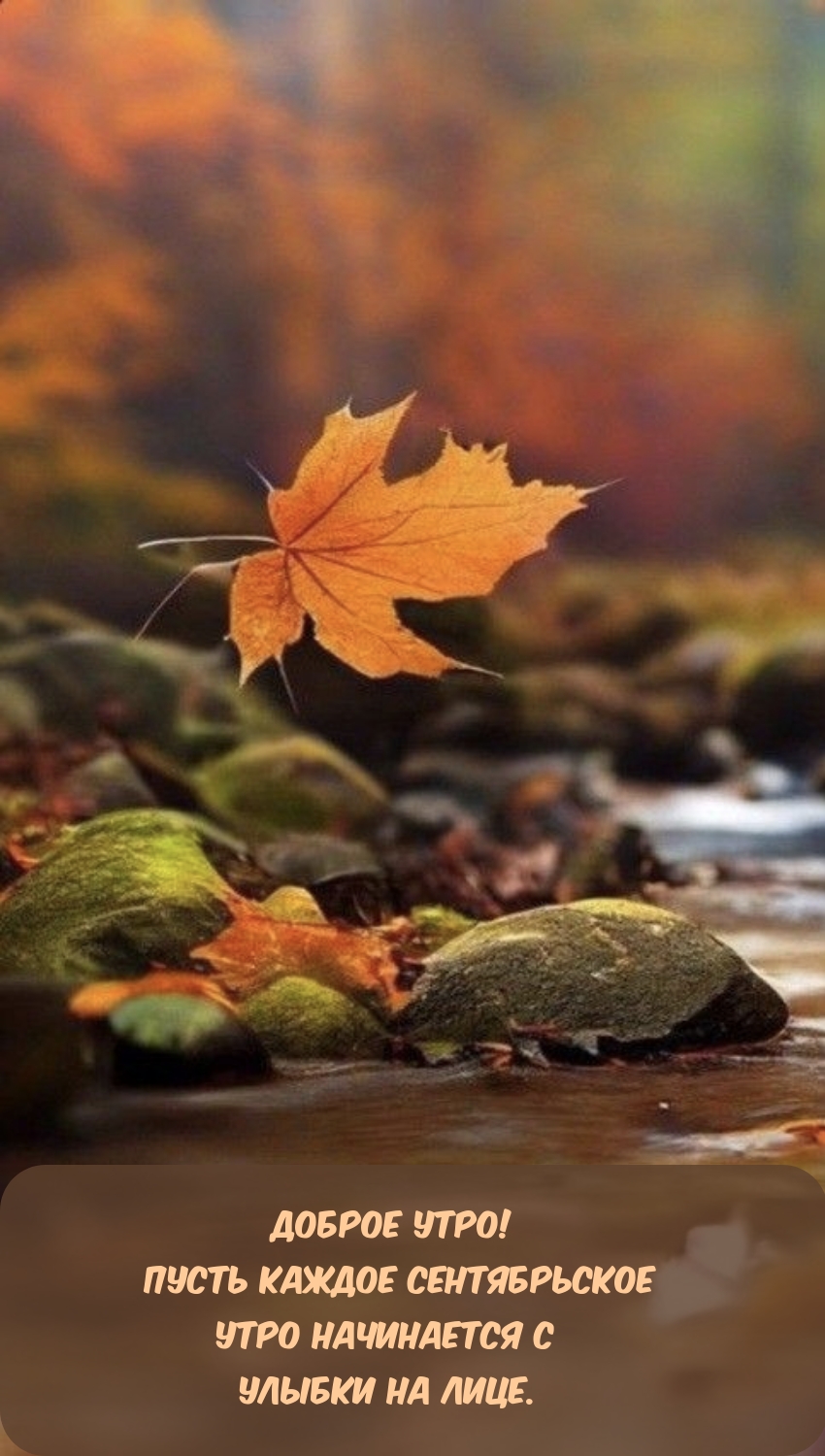 Доброе утро! Пусть каждое сентябрьское утро начинается с улыбки