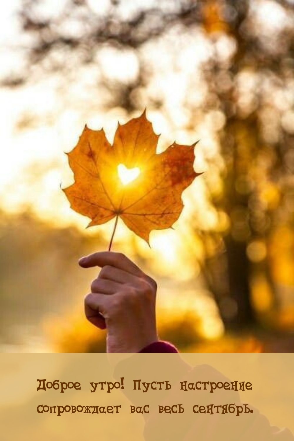 Доброе утро! Пусть настроение сопровождает вас весь сентябрь.