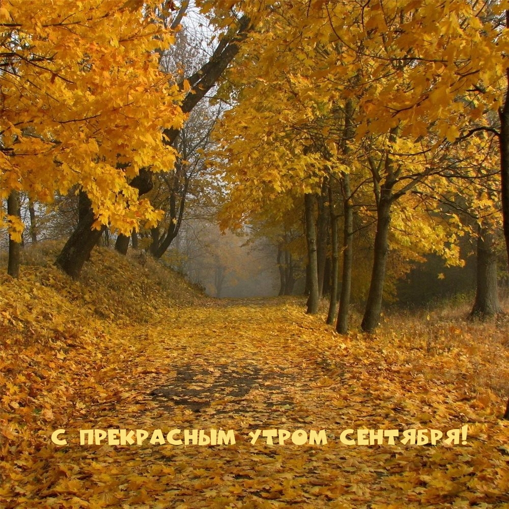 С прекрасным утром сентября!
