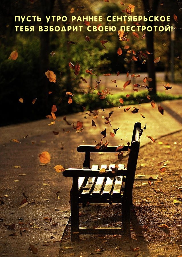 Пусть утро раннее сентябрьское тебя взбодрит своею пестротой!