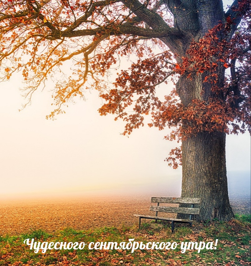 Чудесного сентябрьского утра!
