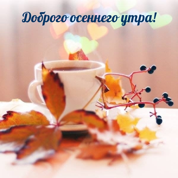 Доброго осеннего утра!