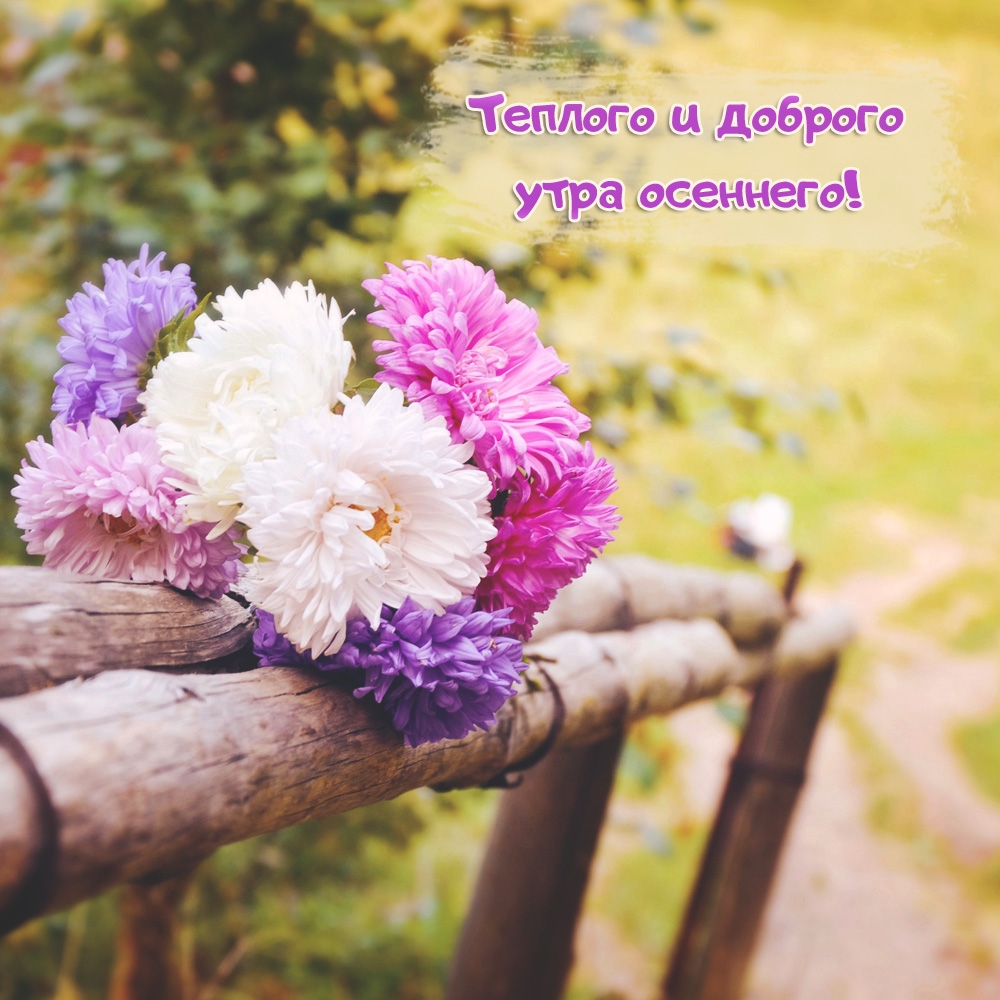 Теплого и доброго утра осеннего!