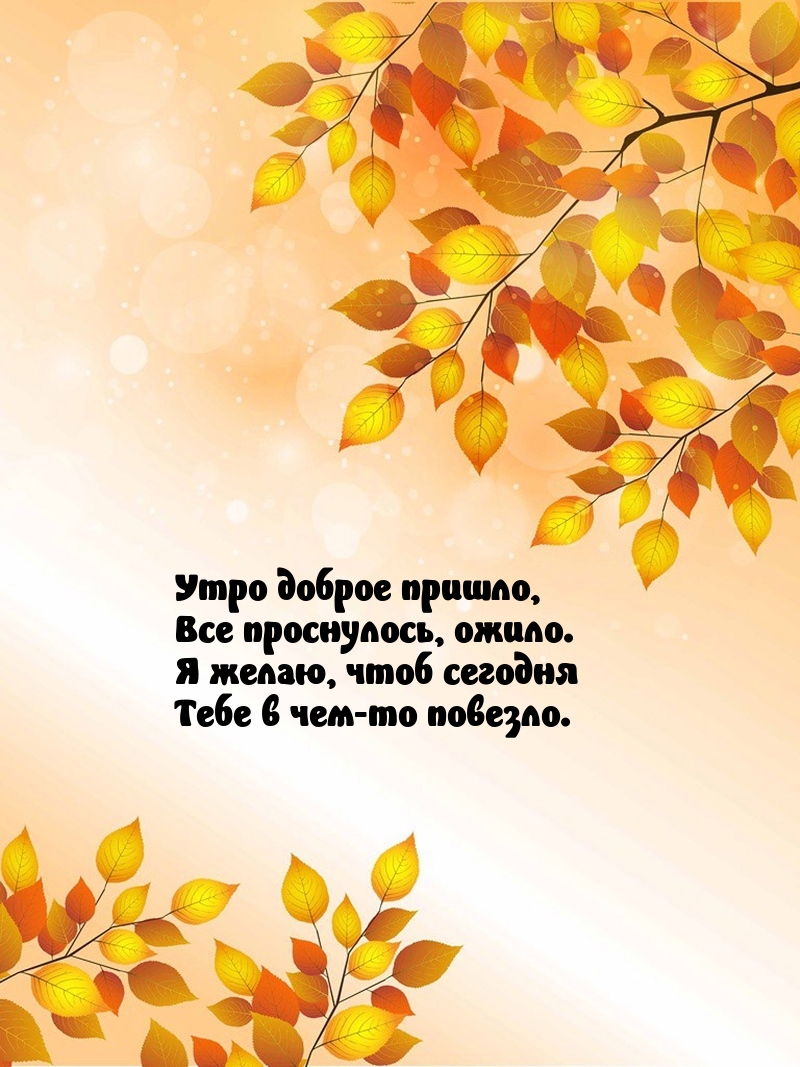 Утро доброе пришло, все проснулось, ожило.