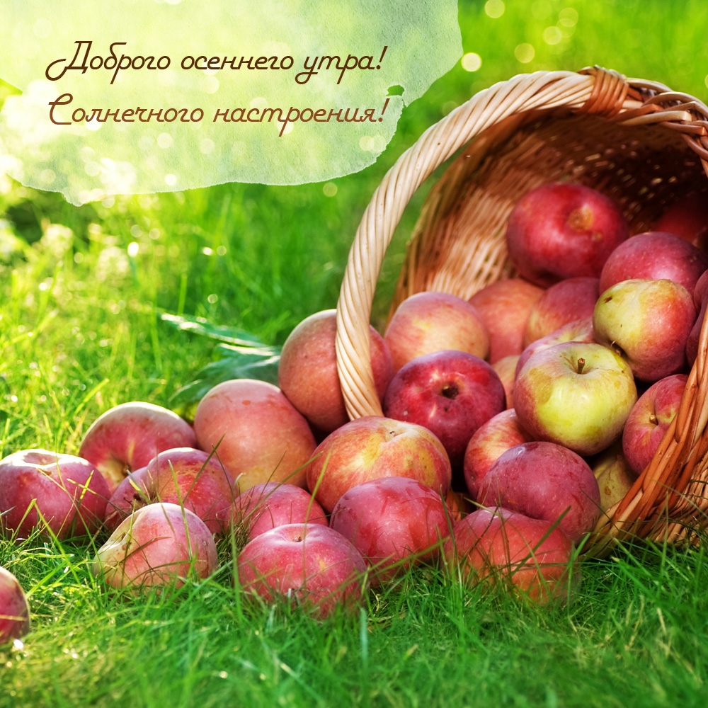 Доброго осеннего утра! Солнечного настроения!
