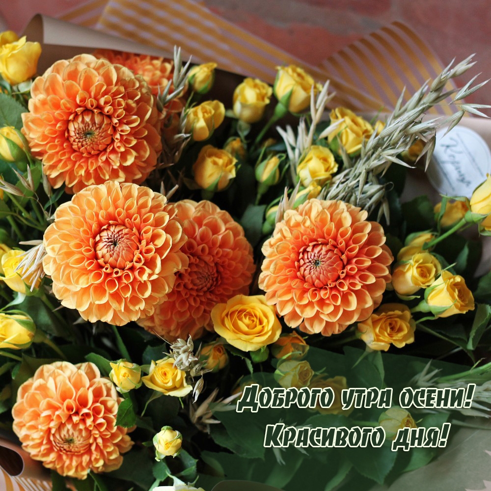 Доброго утра осени! Красивого дня!