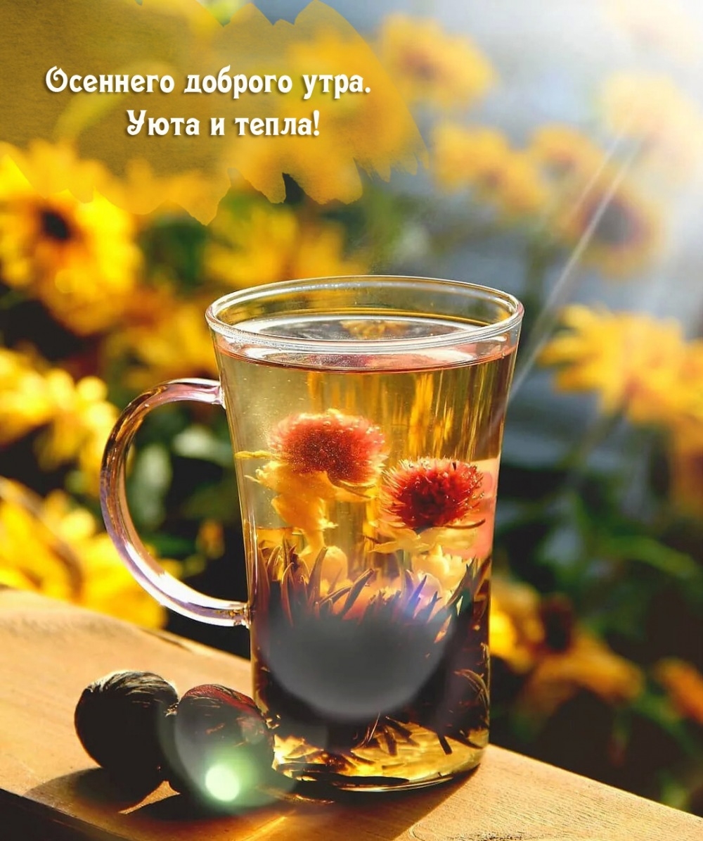 Осеннего доброго утра. Уюта и тепла!
