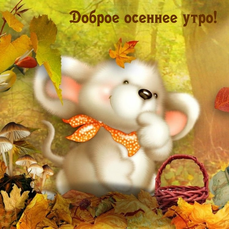 Доброе осеннее утро!