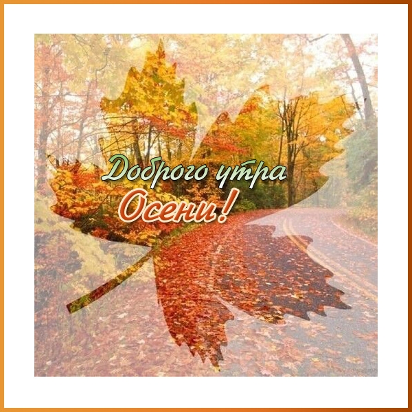 Доброго утра осени!