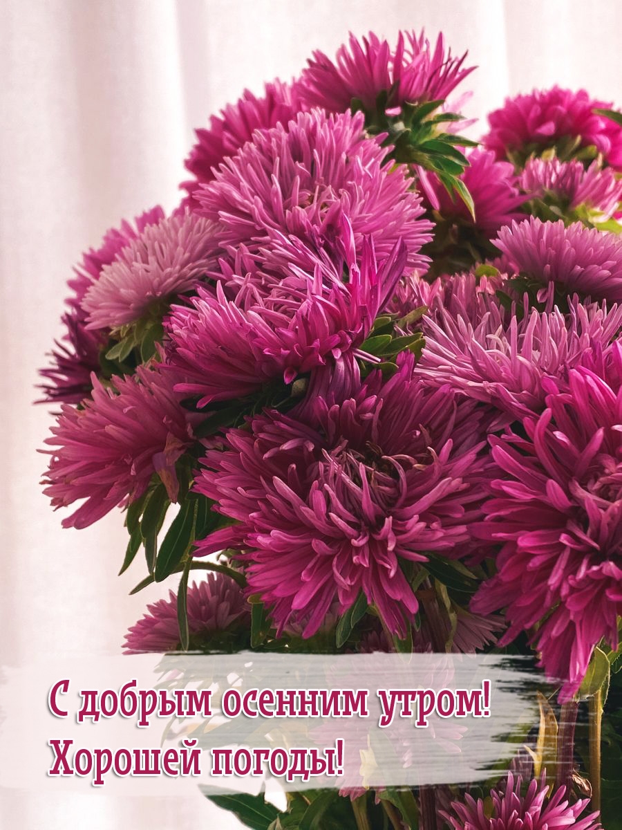 С добрым осенним утром! Хорошей погоды!