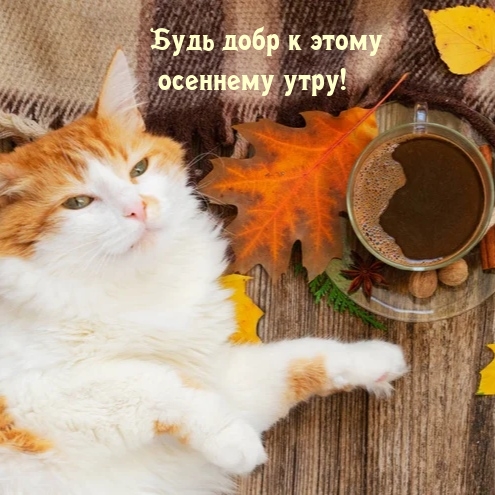 Будь добр к этому осеннему утру!