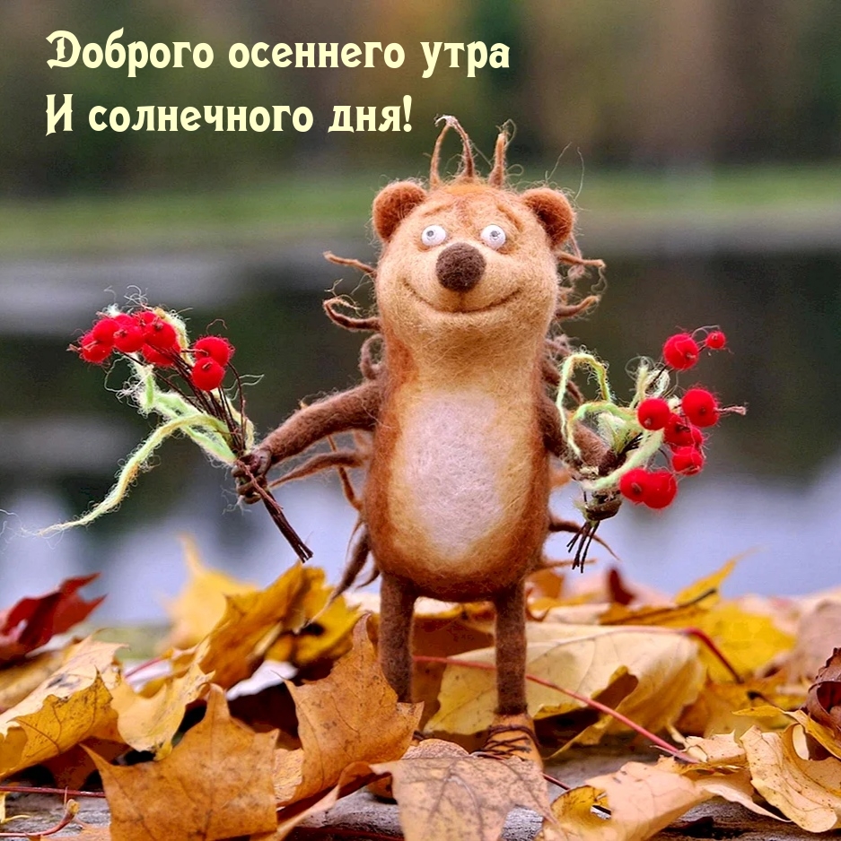 Доброго осеннего утра и солнечного дня!