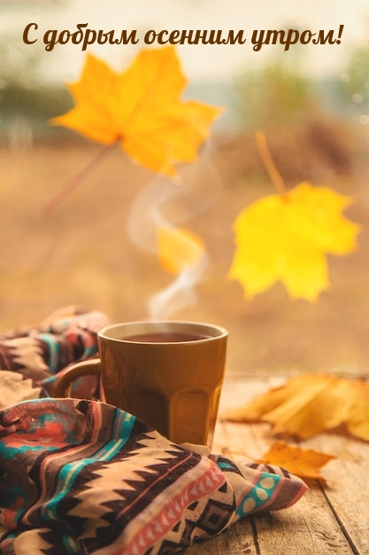 С добрым осенним утром!