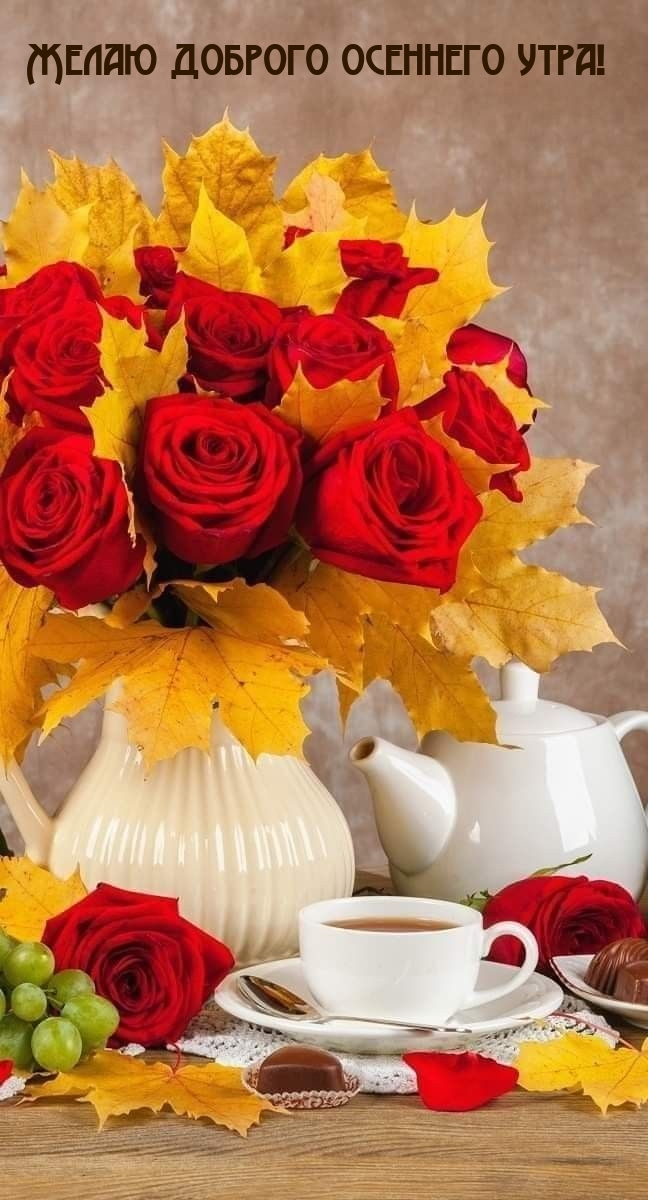 Желаю доброго осеннего утра!