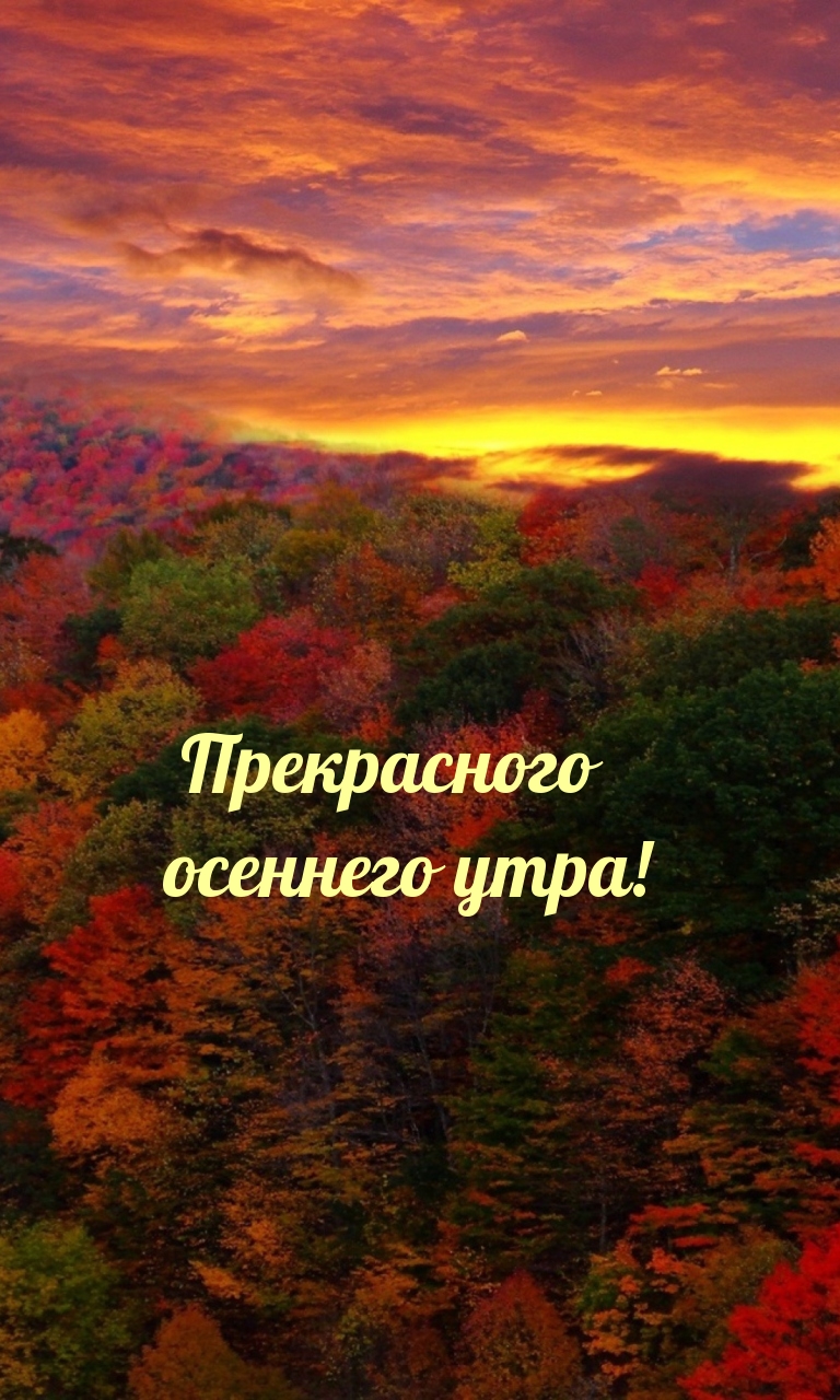 Прекрасного осеннего утра!