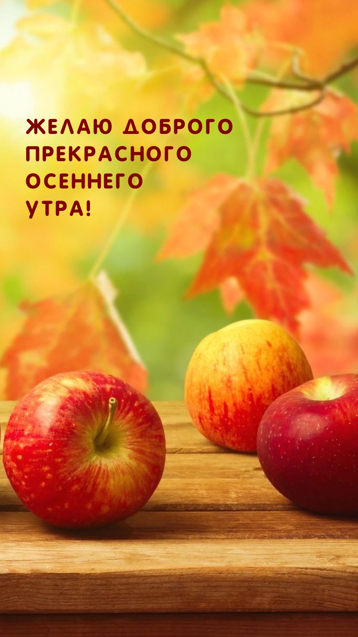 Желаю доброго прекрасного осеннего утра!