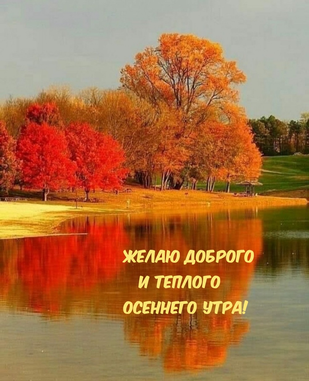 Желаю доброго и теплого осеннего утра!