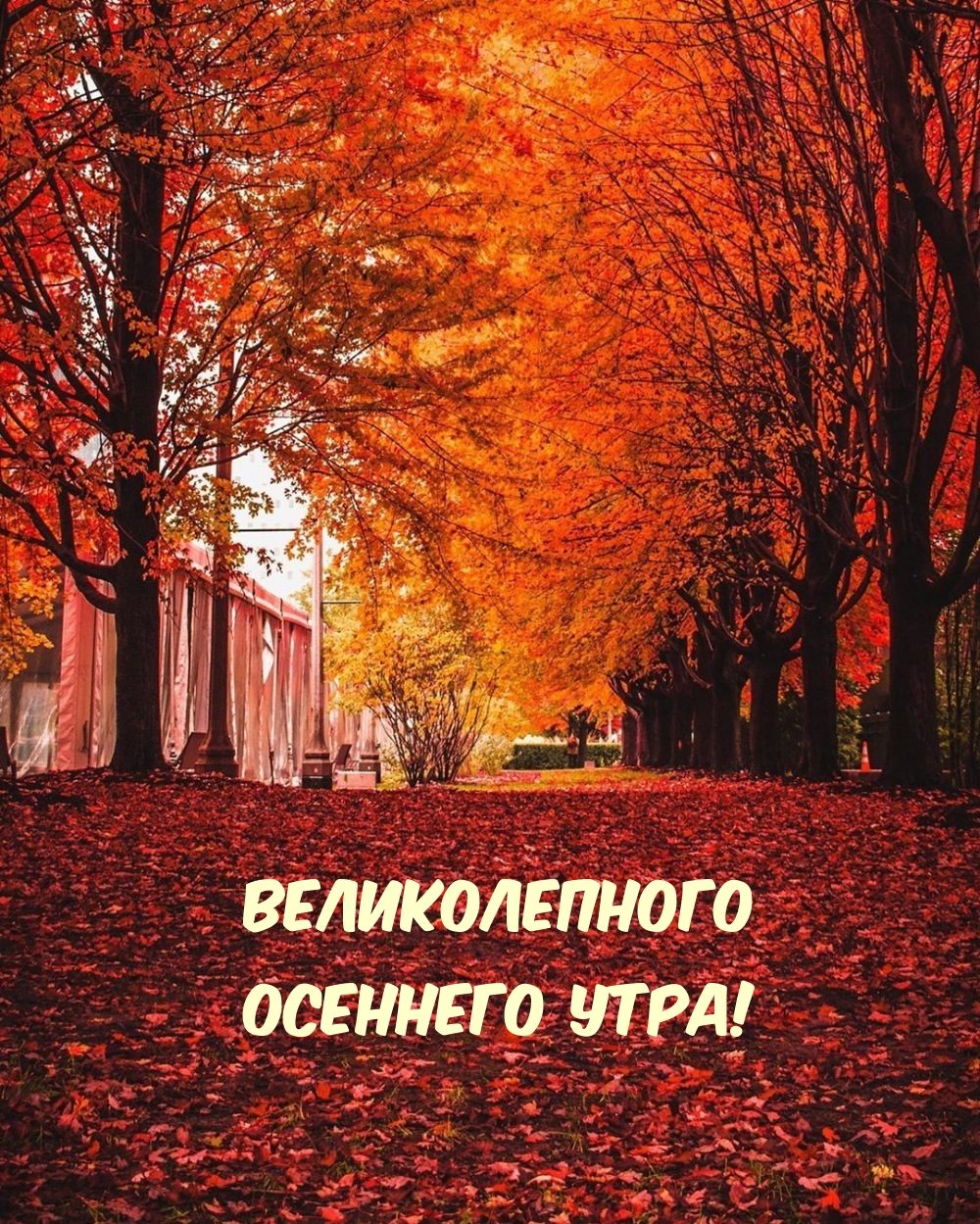 Великолепного осеннего утра!