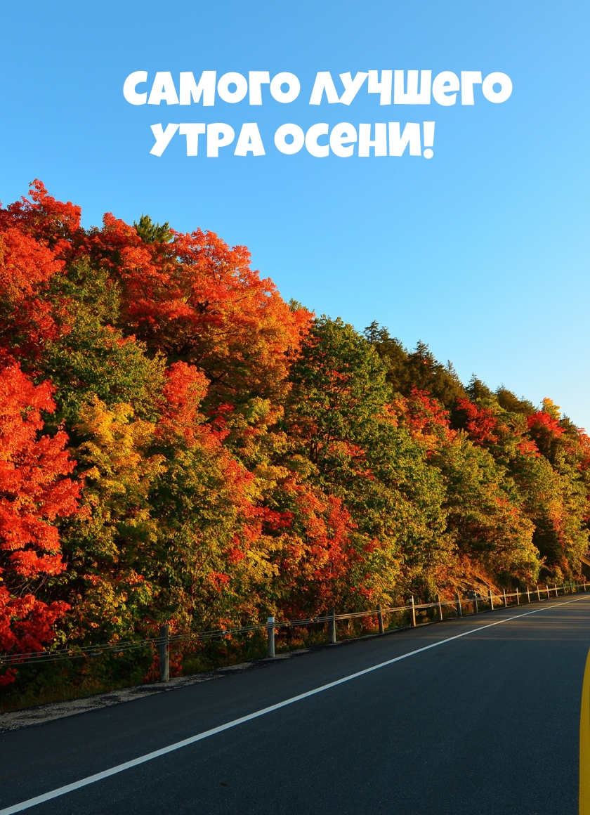 Самого лучшего утра осени!