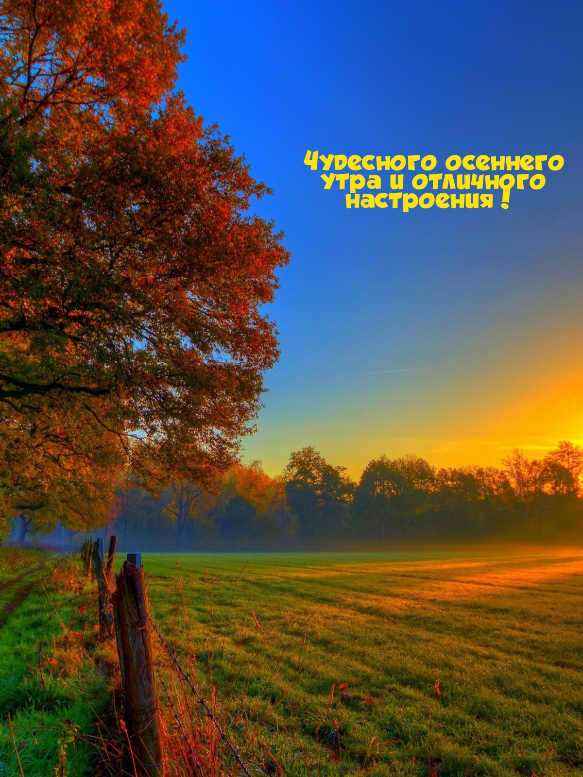 Чудесного осеннего утра и отличного настроения!