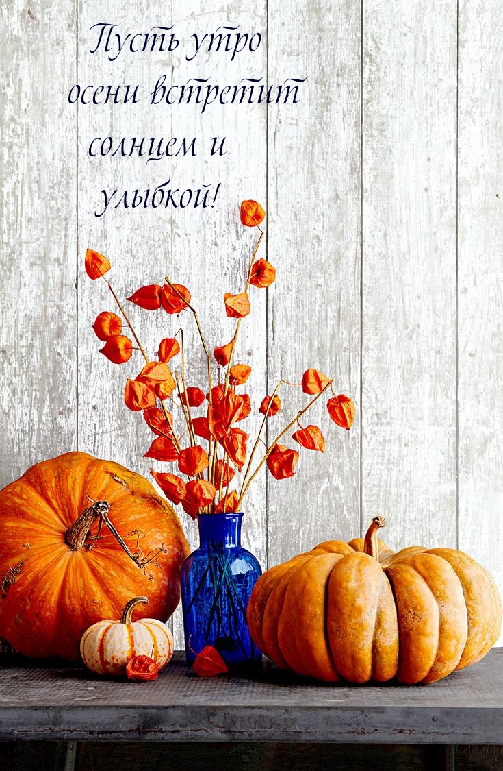 Пусть утро осени встретит солнцем и улыбкой!