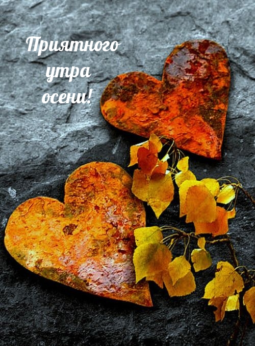 Приятного утра осени!