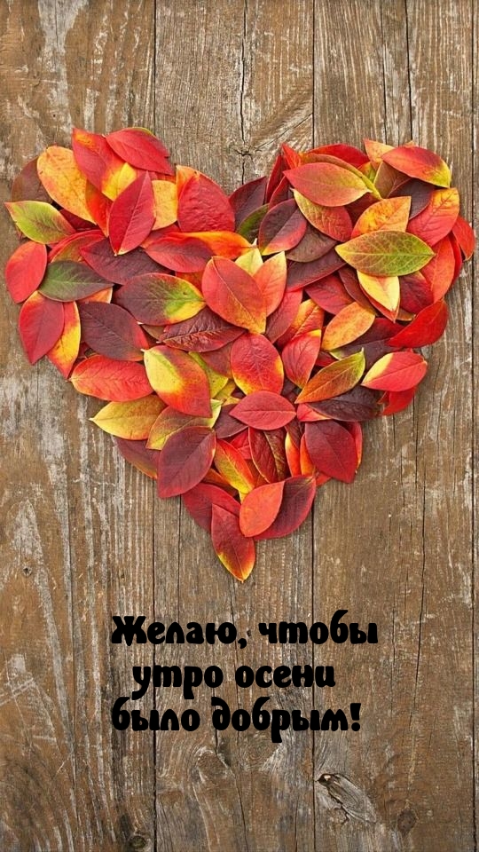 Желаю, чтобы утро осени было добрым!