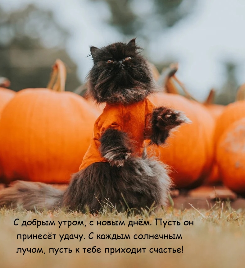 С добрым утром, с новым днём. Пусть он принесёт удачу