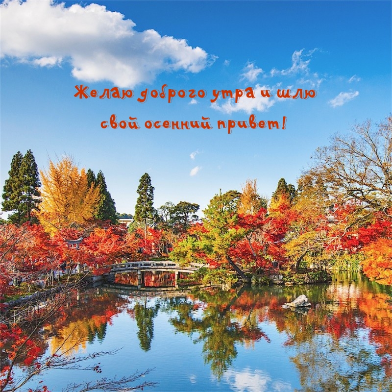 Желаю доброго утра и шлю свой осенний привет!