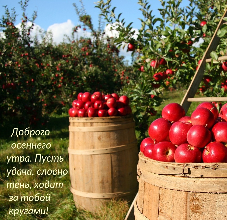 Доброго осеннего утра. Пусть удача, словно тень, ходит за тобой 