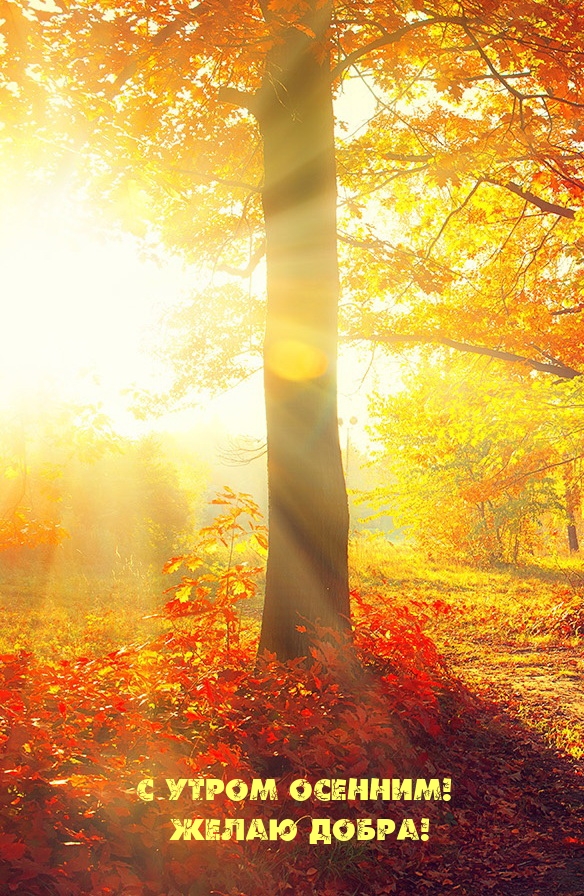 С утром осенним! Желаю добра!