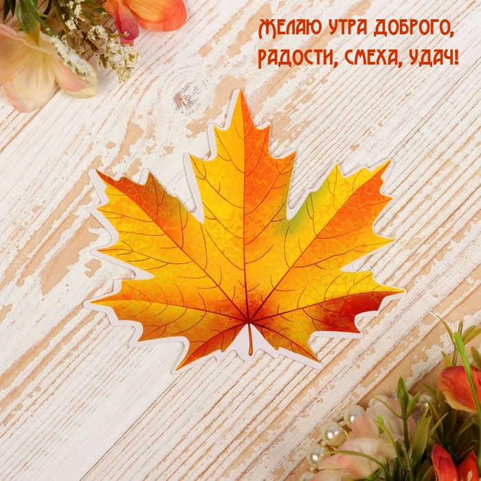 Желаю утра доброго, радости, смеха, удач!