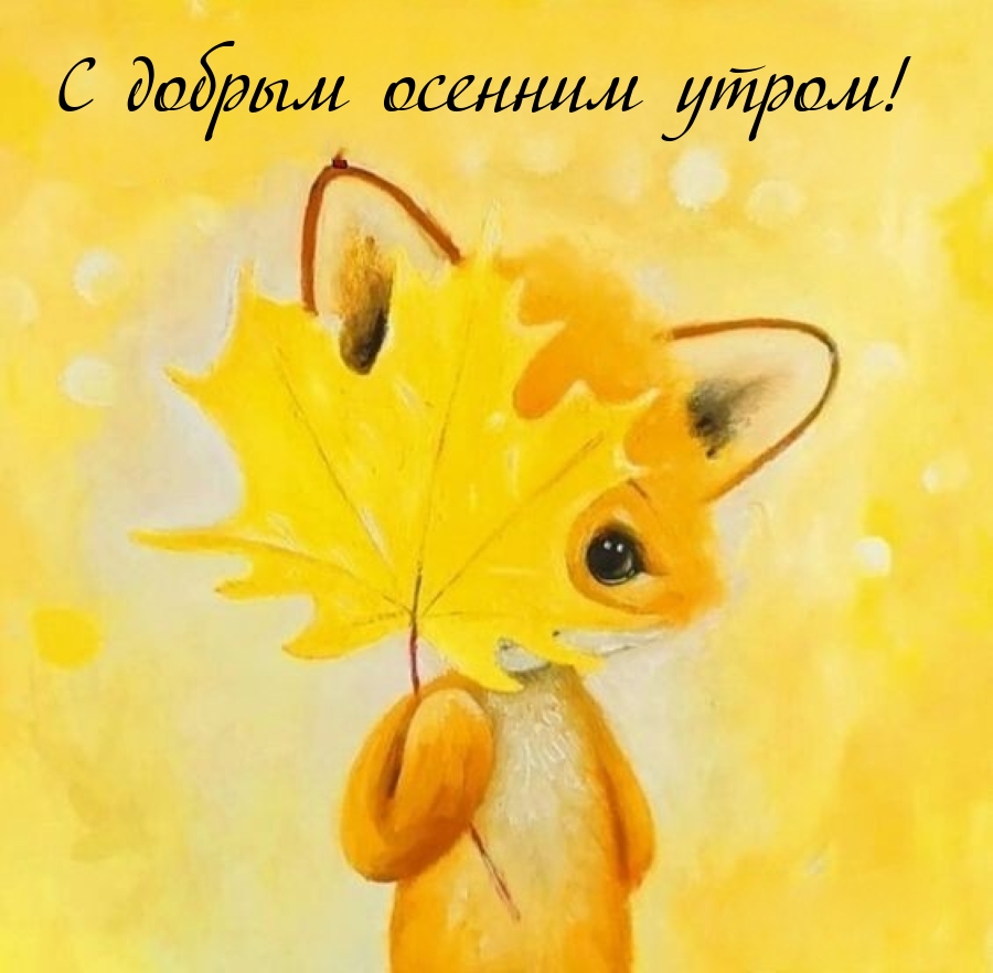 С добрым осенним утром!