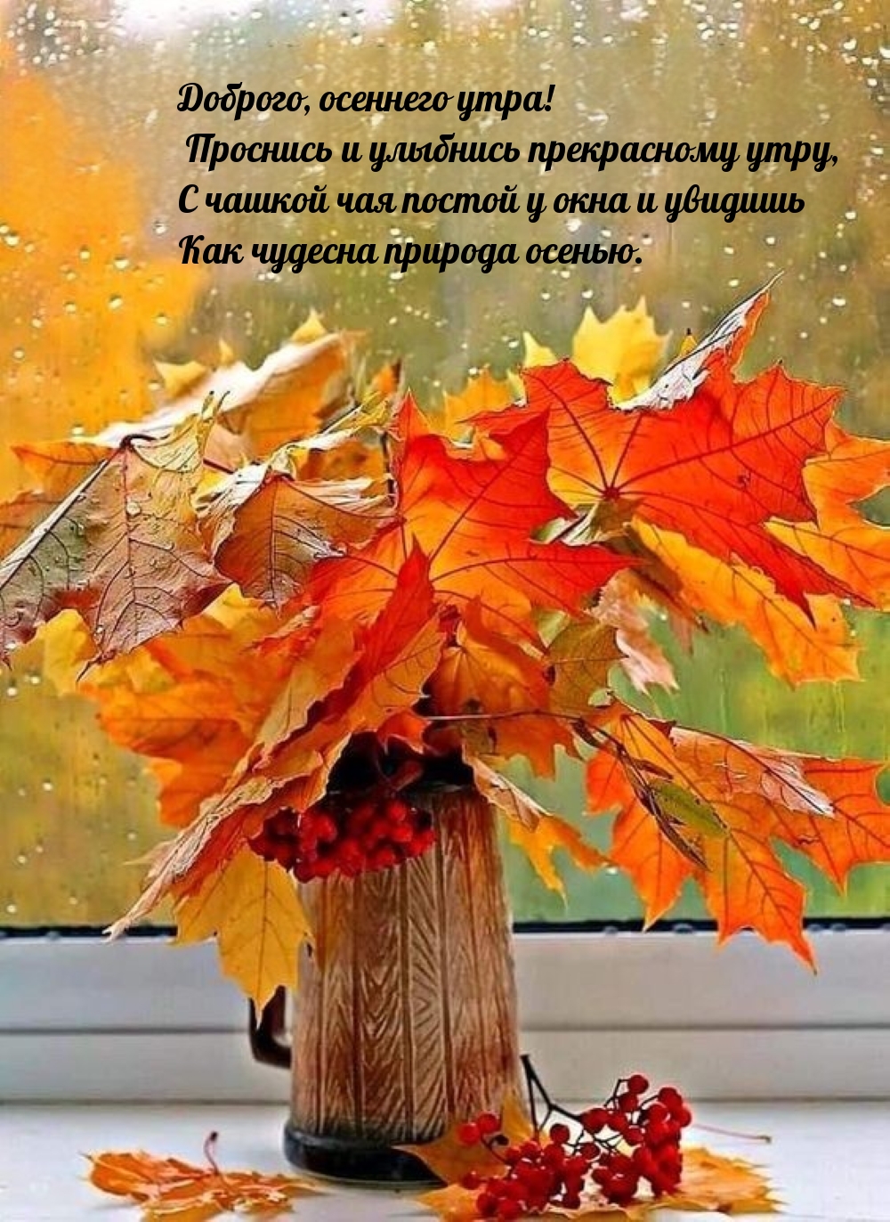 Доброго, осеннего утра! Проснись и улыбнись прекрасному утру