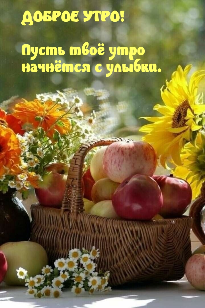Доброе утро! Пусть твоё утро начнётся с улыбки.