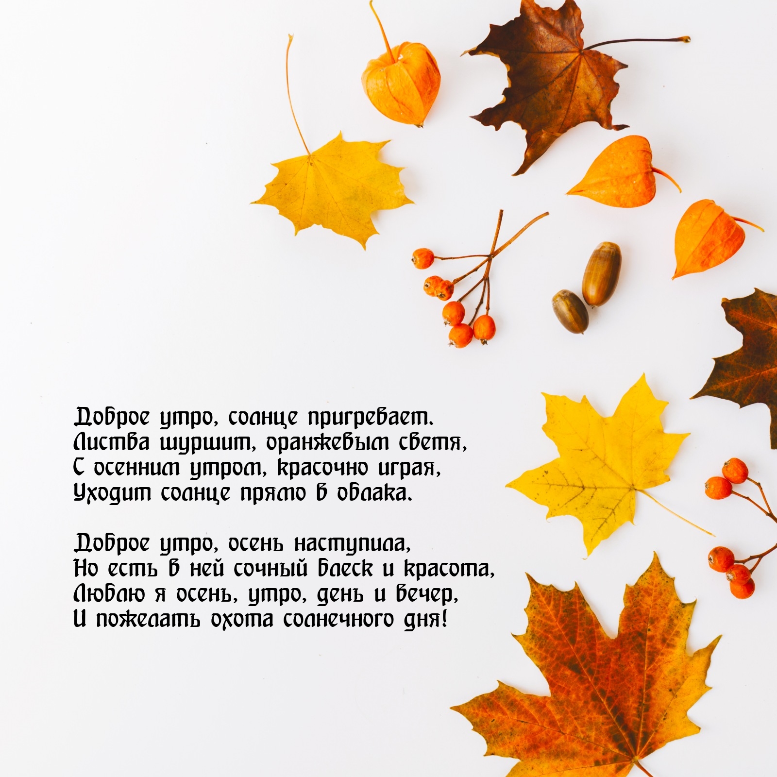 Доброе утро, солнце пригревает.