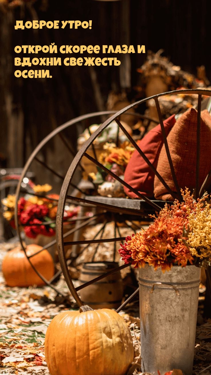 Доброе утро! Открой скорее глаза и вдохни свежесть осени.