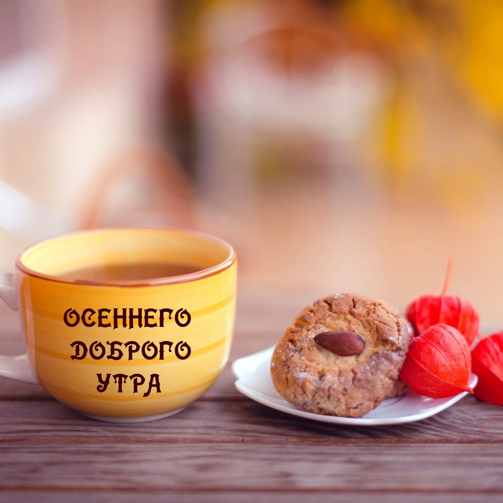 Осеннего доброго утра