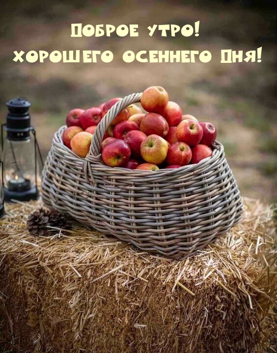 Доброе утро! Хорошего осеннего дня!