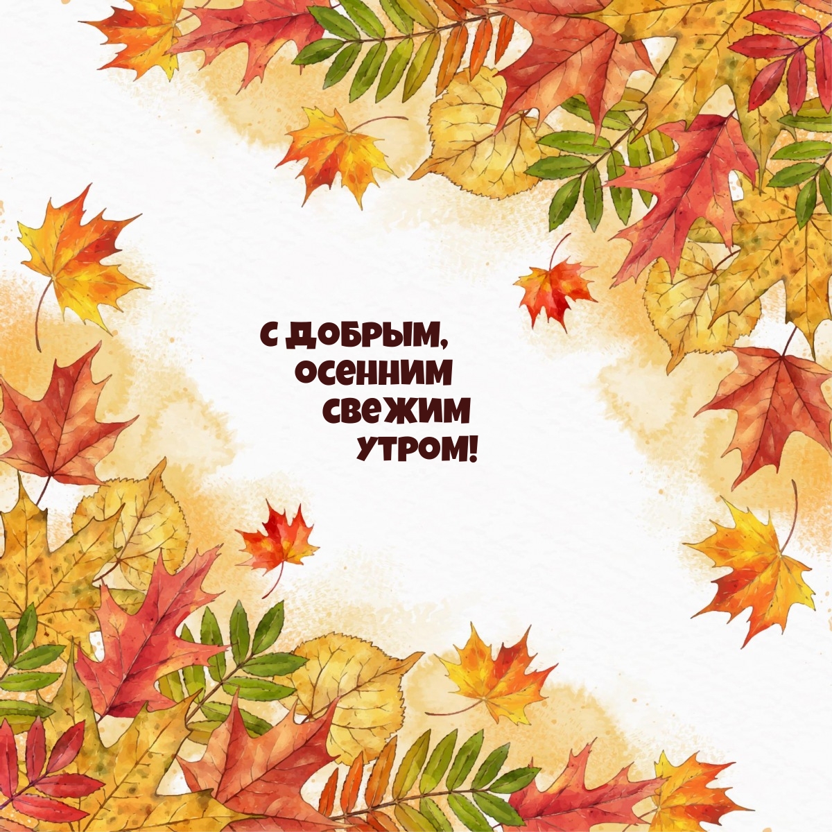 С добрым, осенним свежим утром!