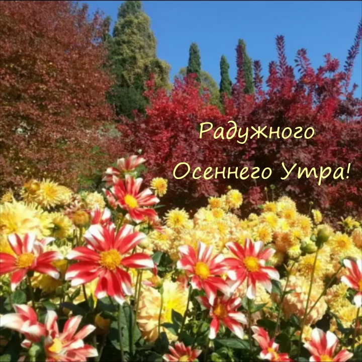 Радужного Осеннего Утра!