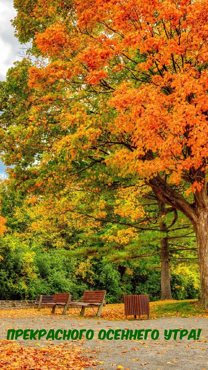 Прекрасного осеннего утра!