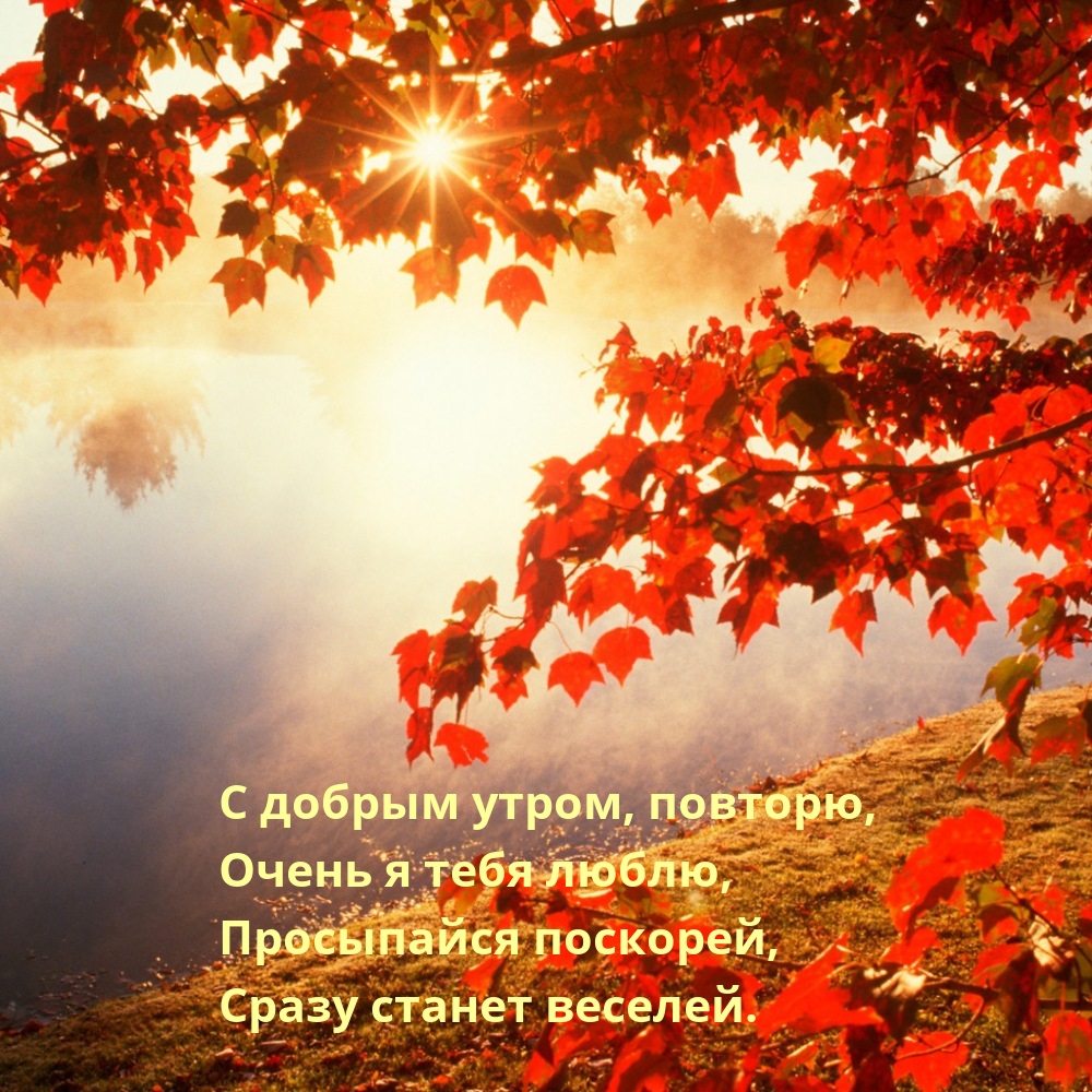 С добрым утром, повторю, очень я тебя люблю