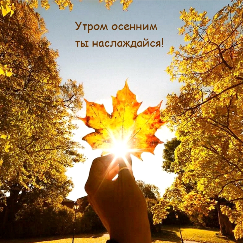 Утром осенним ты наслаждайся!