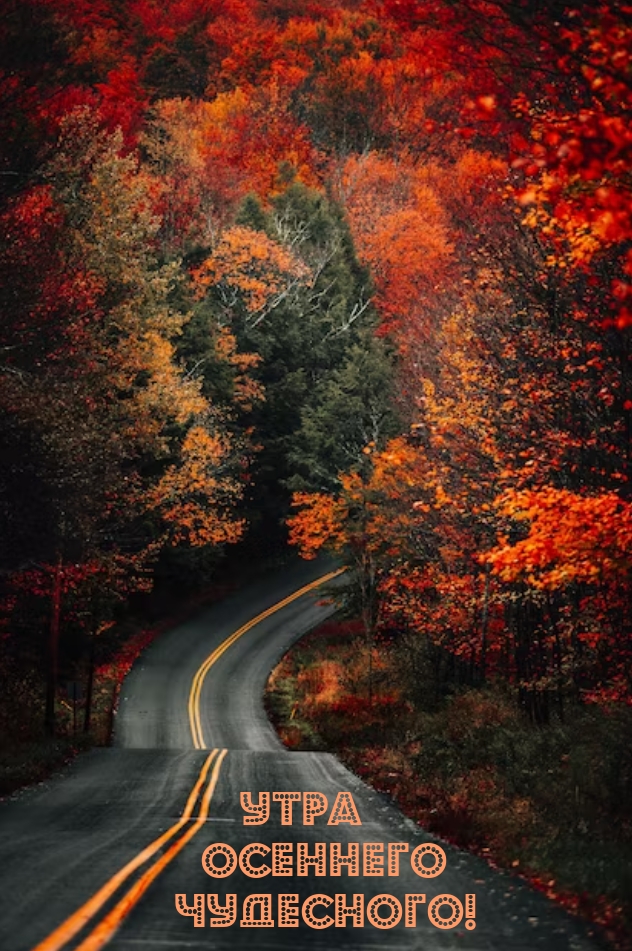 Утра осеннего чудесного!