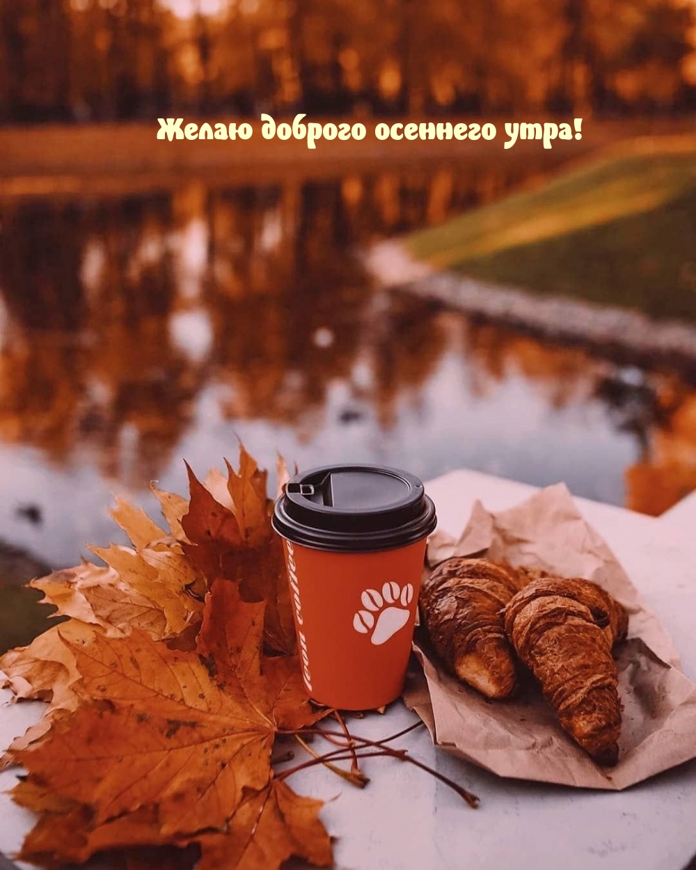 Желаю доброго осеннего утра!