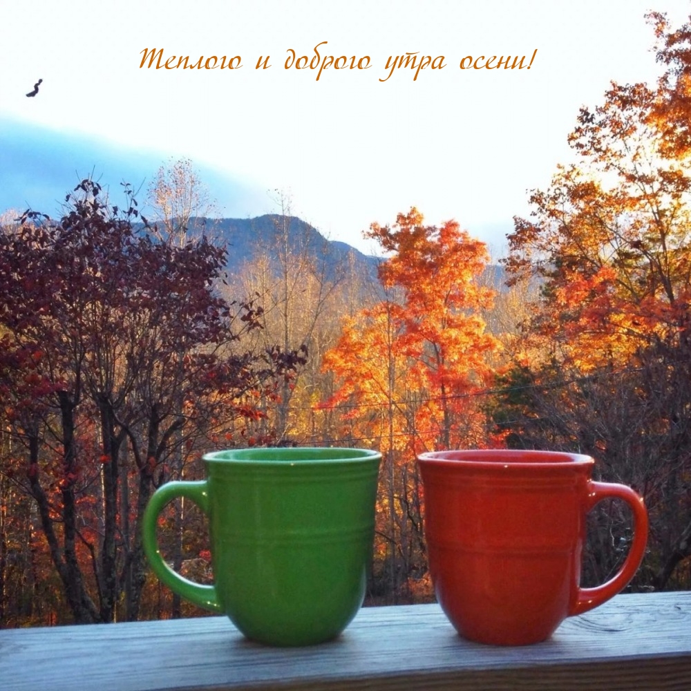 Теплого и доброго утра осени!