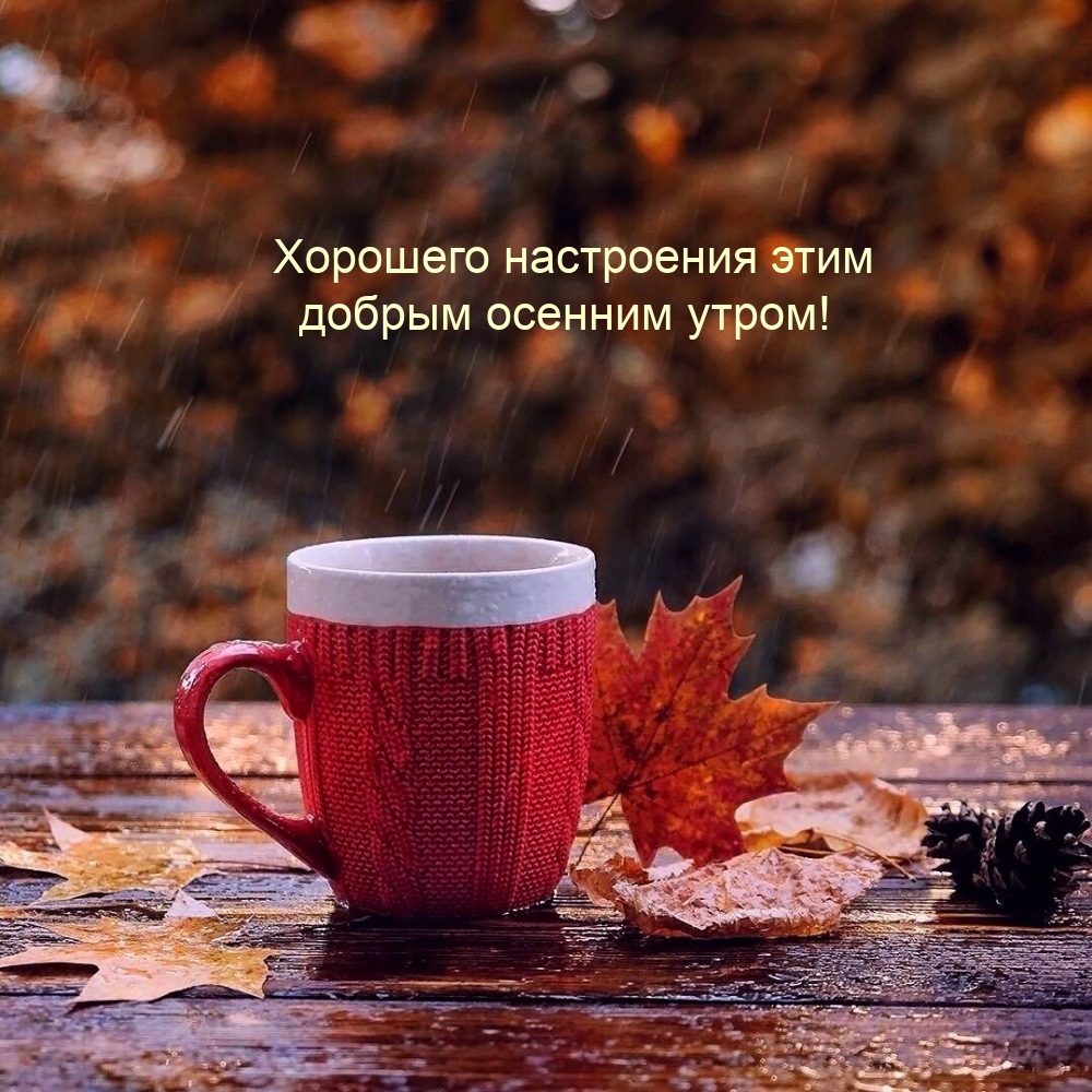 Хорошего настроения этим добрым осенним утром!