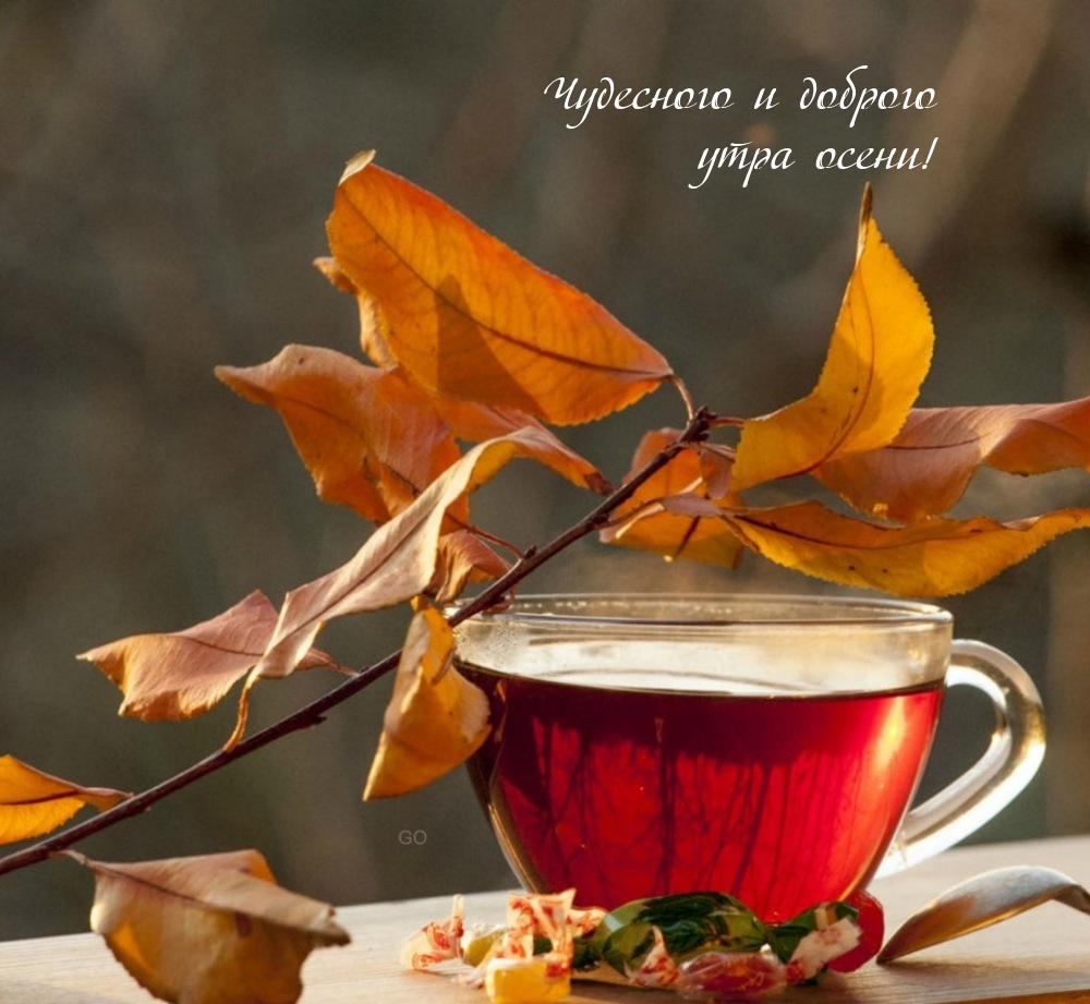 Чудесного и доброго утра осени!